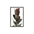 Picture of Plant Life _GroupedProduct_Rectangle_Portrait_Photography _GroupedProduct_Rectangle_Portrait_Canvas_Framed_