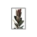 Picture of Plant Life _GroupedProduct_Rectangle_Portrait_Photography _GroupedProduct_Rectangle_Portrait_Canvas_Framed_
