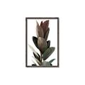 Picture of Plant Life _GroupedProduct_Rectangle_Portrait_Photography _GroupedProduct_Rectangle_Portrait_Canvas_Framed_
