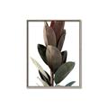 Picture of Plant Life _GroupedProduct_Rectangle_Portrait_Photography _GroupedProduct_Rectangle_Portrait_Canvas_Framed_