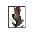 Picture of Plant Life _GroupedProduct_Rectangle_Portrait_Photography _GroupedProduct_Rectangle_Portrait_Canvas_Framed_