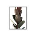Picture of Plant Life _GroupedProduct_Rectangle_Portrait_Photography _GroupedProduct_Rectangle_Portrait_Canvas_Framed_