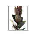 Picture of Plant Life _GroupedProduct_Rectangle_Portrait_Photography _GroupedProduct_Rectangle_Portrait_Canvas_Framed_