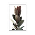 Picture of Plant Life _GroupedProduct_Rectangle_Portrait_Photography _GroupedProduct_Rectangle_Portrait_Canvas_Framed_