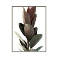 Picture of Plant Life _GroupedProduct_Rectangle_Portrait_Photography _GroupedProduct_Rectangle_Portrait_Canvas_Framed_