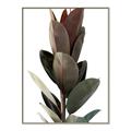 Picture of Plant Life _GroupedProduct_Rectangle_Portrait_Photography _GroupedProduct_Rectangle_Portrait_Canvas_Framed_