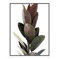 Picture of Plant Life _GroupedProduct_Rectangle_Portrait_Photography _GroupedProduct_Rectangle_Portrait_Canvas_Framed_