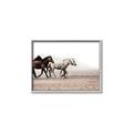 Picture of Ride Along _GroupedProduct_Rectangle_Landscape_Photography _GroupedProduct_Rectangle_Landscape_Canvas_Framed_