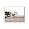 Picture of Ride Along _GroupedProduct_Rectangle_Landscape_Photography _GroupedProduct_Rectangle_Landscape_Canvas_Framed_