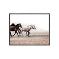 Picture of Ride Along _GroupedProduct_Rectangle_Landscape_Photography _GroupedProduct_Rectangle_Landscape_Canvas_Framed_