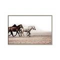 Picture of Ride Along _GroupedProduct_Rectangle_Landscape_Photography _GroupedProduct_Rectangle_Landscape_Canvas_Framed_