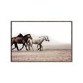 Picture of Ride Along _GroupedProduct_Rectangle_Landscape_Photography _GroupedProduct_Rectangle_Landscape_Canvas_Framed_