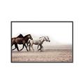 Picture of Ride Along _GroupedProduct_Rectangle_Landscape_Photography _GroupedProduct_Rectangle_Landscape_Canvas_Framed_