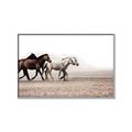 Picture of Ride Along _GroupedProduct_Rectangle_Landscape_Photography _GroupedProduct_Rectangle_Landscape_Canvas_Framed_