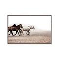 Picture of Ride Along _GroupedProduct_Rectangle_Landscape_Photography _GroupedProduct_Rectangle_Landscape_Canvas_Framed_