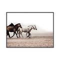 Picture of Ride Along _GroupedProduct_Rectangle_Landscape_Photography _GroupedProduct_Rectangle_Landscape_Canvas_Framed_