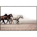 Picture of Ride Along _GroupedProduct_Rectangle_Landscape_Photography _GroupedProduct_Rectangle_Landscape_Canvas_Framed_
