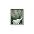 Picture of Sage Leaves  _GroupedProduct_Rectangle_Portrait_Photography _GroupedProduct_Rectangle_Portrait_Canvas_Framed_