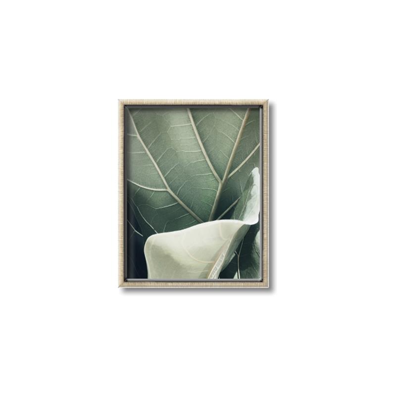 Picture of Sage Leaves  _GroupedProduct_Rectangle_Portrait_Photography _GroupedProduct_Rectangle_Portrait_Canvas_Framed_