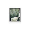 Picture of Sage Leaves  _GroupedProduct_Rectangle_Portrait_Photography _GroupedProduct_Rectangle_Portrait_Canvas_Framed_