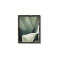 Picture of Sage Leaves  _GroupedProduct_Rectangle_Portrait_Photography _GroupedProduct_Rectangle_Portrait_Canvas_Framed_