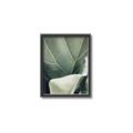 Picture of Sage Leaves  _GroupedProduct_Rectangle_Portrait_Photography _GroupedProduct_Rectangle_Portrait_Canvas_Framed_