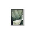 Picture of Sage Leaves  _GroupedProduct_Rectangle_Portrait_Photography _GroupedProduct_Rectangle_Portrait_Canvas_Framed_