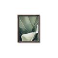 Picture of Sage Leaves  _GroupedProduct_Rectangle_Portrait_Photography _GroupedProduct_Rectangle_Portrait_Canvas_Framed_