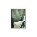 Picture of Sage Leaves  _GroupedProduct_Rectangle_Portrait_Photography _GroupedProduct_Rectangle_Portrait_Canvas_Framed_