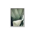Picture of Sage Leaves  _GroupedProduct_Rectangle_Portrait_Photography _GroupedProduct_Rectangle_Portrait_Canvas_Framed_