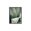 Picture of Sage Leaves  _GroupedProduct_Rectangle_Portrait_Photography _GroupedProduct_Rectangle_Portrait_Canvas_Framed_