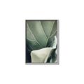 Picture of Sage Leaves  _GroupedProduct_Rectangle_Portrait_Photography _GroupedProduct_Rectangle_Portrait_Canvas_Framed_