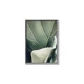 Picture of Sage Leaves  _GroupedProduct_Rectangle_Portrait_Photography _GroupedProduct_Rectangle_Portrait_Canvas_Framed_