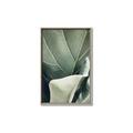 Picture of Sage Leaves  _GroupedProduct_Rectangle_Portrait_Photography _GroupedProduct_Rectangle_Portrait_Canvas_Framed_