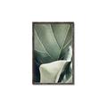 Picture of Sage Leaves  _GroupedProduct_Rectangle_Portrait_Photography _GroupedProduct_Rectangle_Portrait_Canvas_Framed_