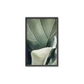 Picture of Sage Leaves  _GroupedProduct_Rectangle_Portrait_Photography _GroupedProduct_Rectangle_Portrait_Canvas_Framed_