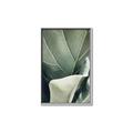Picture of Sage Leaves  _GroupedProduct_Rectangle_Portrait_Photography _GroupedProduct_Rectangle_Portrait_Canvas_Framed_