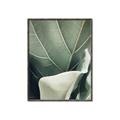 Picture of Sage Leaves  _GroupedProduct_Rectangle_Portrait_Photography _GroupedProduct_Rectangle_Portrait_Canvas_Framed_