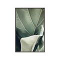 Picture of Sage Leaves  _GroupedProduct_Rectangle_Portrait_Photography _GroupedProduct_Rectangle_Portrait_Canvas_Framed_