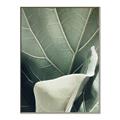 Picture of Sage Leaves  _GroupedProduct_Rectangle_Portrait_Photography _GroupedProduct_Rectangle_Portrait_Canvas_Framed_