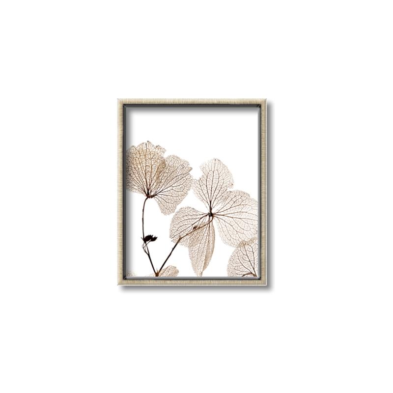 Picture of Sepia Botanic _GroupedProduct_Rectangle_Portrait_Photography _GroupedProduct_Rectangle_Portrait_Canvas_Framed_