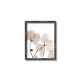 Picture of Sepia Botanic _GroupedProduct_Rectangle_Portrait_Photography _GroupedProduct_Rectangle_Portrait_Canvas_Framed_