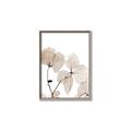 Picture of Sepia Botanic _GroupedProduct_Rectangle_Portrait_Photography _GroupedProduct_Rectangle_Portrait_Canvas_Framed_