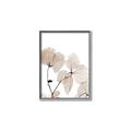 Picture of Sepia Botanic _GroupedProduct_Rectangle_Portrait_Photography _GroupedProduct_Rectangle_Portrait_Canvas_Framed_