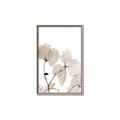 Picture of Sepia Botanic _GroupedProduct_Rectangle_Portrait_Photography _GroupedProduct_Rectangle_Portrait_Canvas_Framed_