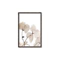 Picture of Sepia Botanic _GroupedProduct_Rectangle_Portrait_Photography _GroupedProduct_Rectangle_Portrait_Canvas_Framed_