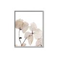 Picture of Sepia Botanic _GroupedProduct_Rectangle_Portrait_Photography _GroupedProduct_Rectangle_Portrait_Canvas_Framed_
