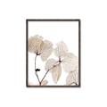 Picture of Sepia Botanic _GroupedProduct_Rectangle_Portrait_Photography _GroupedProduct_Rectangle_Portrait_Canvas_Framed_