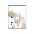 Picture of Sepia Botanic _GroupedProduct_Rectangle_Portrait_Photography _GroupedProduct_Rectangle_Portrait_Canvas_Framed_