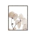 Picture of Sepia Botanic _GroupedProduct_Rectangle_Portrait_Photography _GroupedProduct_Rectangle_Portrait_Canvas_Framed_